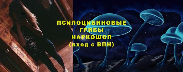 хмурый Армянск